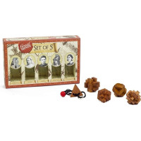 PROFESSOR PUZZLE Great Minds: Slavné ženy 5v1