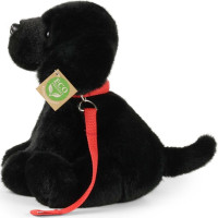 Rappa Plyšový pes labrador černý s vodítkem 28 cm ECO-FRIENDLY