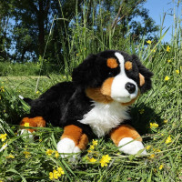 Rappa Plyšový Bernský salašnický pes ležící 61 cm ECO-FRIENDLY