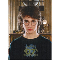 DODO Puzzle Harry Potter 450 dílků