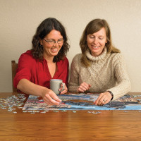 COBBLE HILL Puzzle Lokomotiva na mostě 1000 dílků