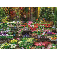 RAVENSBURGER Puzzle Pobřeží Na Pali, Havaj 500 dílků