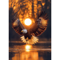 ART PUZZLE Puzzle Prosluněná křídla 1000 dílků
