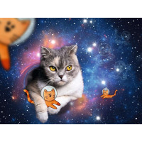 RAVENSBURGER Puzzle Kočka ve vesmíru 1500 dílků