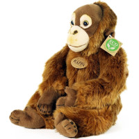 Rappa Plyšová opice orangutan 27 cm ECO-FRIENDLY
