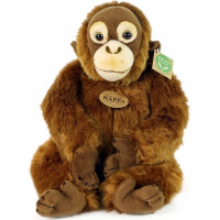 Rappa Plyšová opice orangutan 27 cm ECO-FRIENDLY
