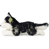 Rappa Plyšový pes husky 36 cm ECO-FRIENDLY
