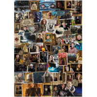 DODO Puzzle Harry Potter: Zajímavé momenty 1000 dílků