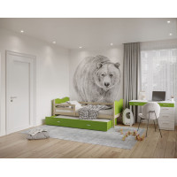 Dětská postel s přistýlkou MAX W - 200x90 cm - zelená/borovice - vláček