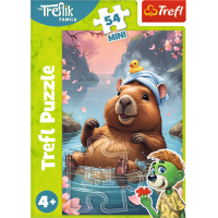 Displej Puzzle Treflíci 54 dílků (40 ks)