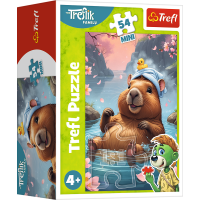 Displej Puzzle Treflíci 54 dílků (40 ks)