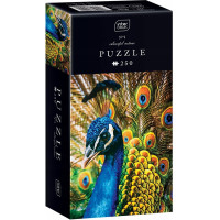INTERDRUK Puzzle Colorful Nature: Páv 250 dílků