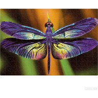INTERDRUK Puzzle Colorful Nature: Vážka 250 dílků