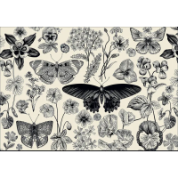 INTERDRUK Puzzle Flowers: Motýli a květiny 500 dílků