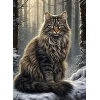 NORIMPEX Diamantové malování Kocour v lese 30x40cm