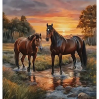 NORIMPEX Diamantové malování Koně v řece 30x40cm