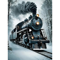 NORIMPEX Diamantové malování Zimní expres 30x40cm