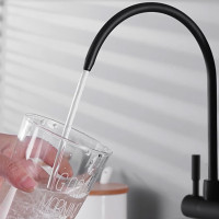 Kuchyňská baterie Rea ECO FRESH - černá matná