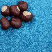 Kusový koberec Eton tyrkys