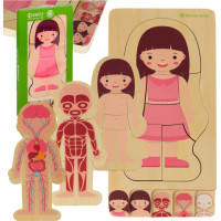 Dřevěné vrstvené Montessori puzzle Tělo - dívka
