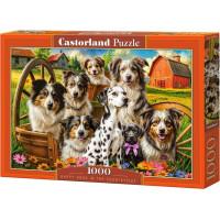 CASTORLAND Puzzle Šťastní psi na venkově 1000 dílků