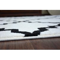 Moderní koberec bílo-černý F343 - 180 x 270 cm