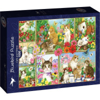 BLUEBIRD Puzzle Kočky a koťata 1000 dílků