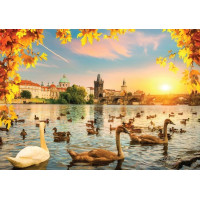 MAGNOLIA Puzzle Labutě u Karlova mostu 1000 dílků