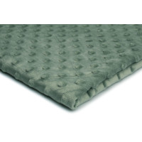 Chránič na dětskou postel MINKY 120 cm - šalvějový