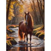NORIMPEX Diamantové malování Kůň v lesním potoce 30x40cm