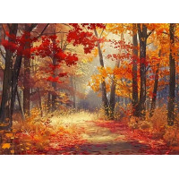 NORIMPEX Diamantové malování Les v barvách podzimu 30x40cm