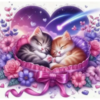 NORIMPEX Diamantové malování Spící koťata 30x40cm