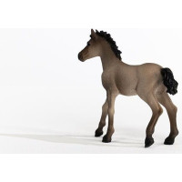 SCHLEICH Horse Club® 13949 Criollo Definitivo - hříbě