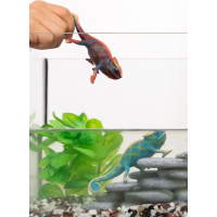 SCHLEICH Wild Life® 14858 Chameleon měnící barvu