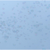 Výroba bublin - Princeznovská hůlka