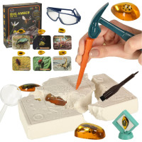 Archeologická sada - Jantarové fosilie hmyzu