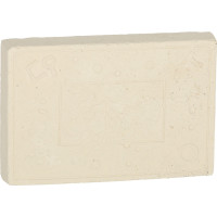 Archeologická sada - Jantarové fosilie hmyzu