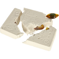 Archeologická sada - Jantarové fosilie hmyzu