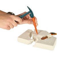 Archeologická sada - Jantarové fosilie hmyzu