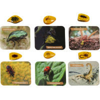 Archeologická sada - Jantarové fosilie hmyzu