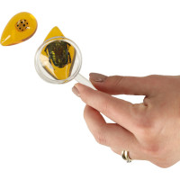 Archeologická sada - Jantarové fosilie hmyzu