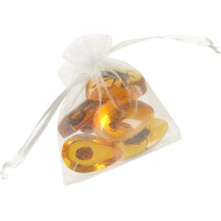 Archeologická sada - Jantarové fosilie hmyzu