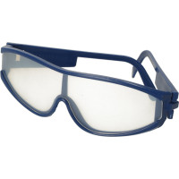 Archeologická sada - Jantarové fosilie hmyzu