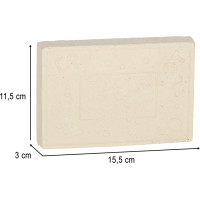 Archeologická sada - Jantarové fosilie hmyzu