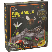 Archeologická sada - Jantarové fosilie hmyzu