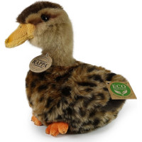 Rappa Plyšová kachna divoká 19 cm ECO-FRIENDLY