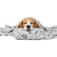 Deka pro psy DOGGY Dream 100x70 cm + polštářek 20x30 cm