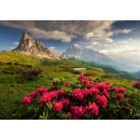 DINO Puzzle Italské Dolomity 2000 dílků