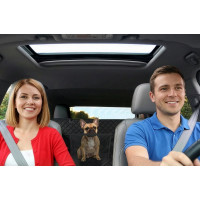 Podložka do auta pro psy GOLDEN