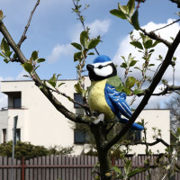 Rappa Plyšová sýkorka 12 cm ECO-FRIENDLY